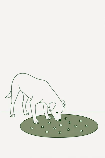 Illustration zur Übung „Die Futtersuche